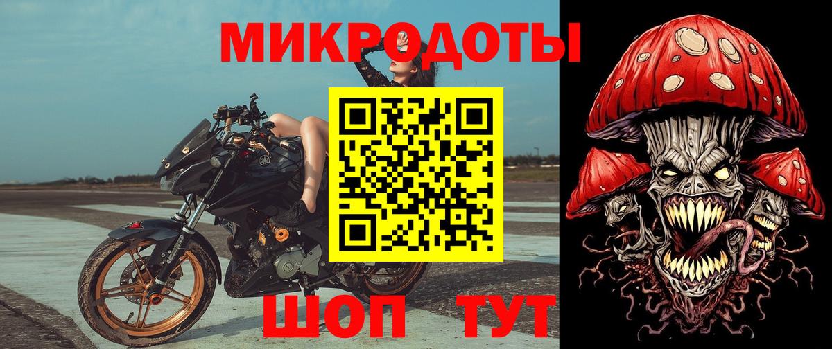 Выборг  купить наркоту  Вход с VPN  Галлюциногенные грибы Psilocybe 